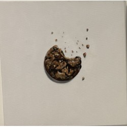 Cookie by Erin Rothstein
